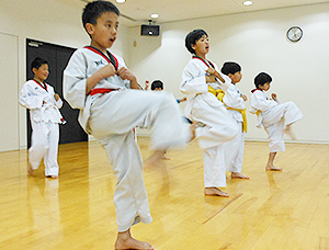 テコンドー教室 コスモ道場 写真